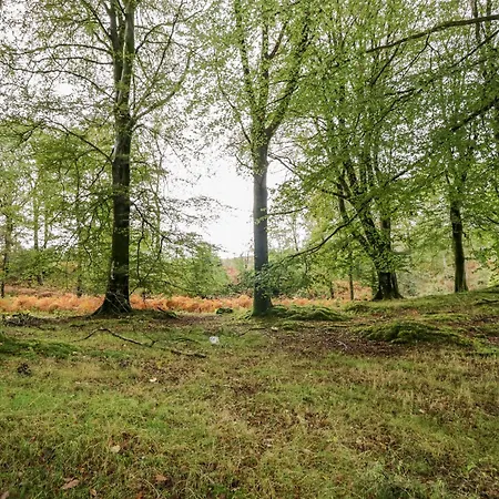 펜션 Crabtree At The Graythwaite Estate *